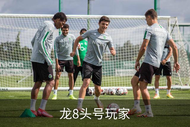 龙8头号玩家公司简介